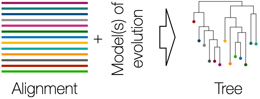 MaximumLikelihood