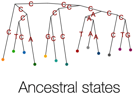 AncestralStates